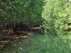 N/A GOVERNMENT ROAD W Central Manitoulin Ontario, P0P 2C0