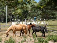 16558 HIGHWAY 48 Whitchurch-Stouffville Ontario, L4A 7X4