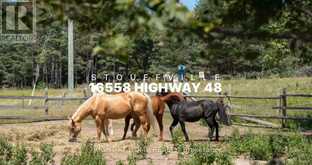 16558 HIGHWAY 48 | Whitchurch-Stouffville Ontario | Slide Image One