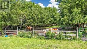 16558 HIGHWAY 48 | Whitchurch-Stouffville Ontario | Slide Image Thirty-seven