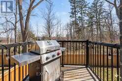 29 BRIAR COURT | Halton Hills Ontario | Slide Image Eighteen