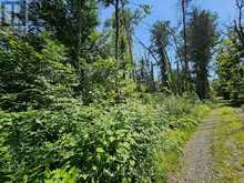 0 SHANVAL LANE | Marmora Ontario | Slide Image Three