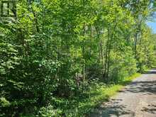 0 SHANVAL LANE | Marmora Ontario | Slide Image Seven