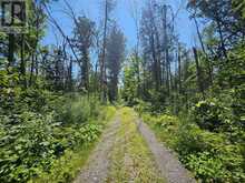0 SHANVAL LANE | Marmora Ontario | Slide Image Four