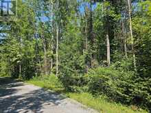 0 SHANVAL LANE | Marmora Ontario | Slide Image Eight