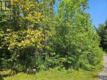 0 SHANVAL LANE | Marmora Ontario | Slide Image Five