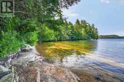 2458 WILKINSON ROAD | Haliburton Ontario | Slide Image Thirty-seven