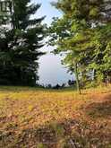 16431 HWY 35 | Algonquin Highlands Ontario | Slide Image Twenty-four