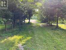16431 HWY 35 | Algonquin Highlands Ontario | Slide Image Twenty-six