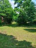 16431 HWY 35 | Algonquin Highlands Ontario | Slide Image Thirty-two