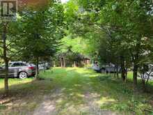 16431 HWY 35 | Algonquin Highlands Ontario | Slide Image Thirty-three