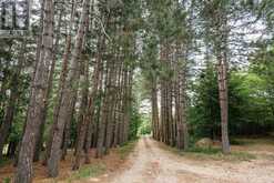 183 PEVENSEY ROAD | Magnetawan Ontario | Slide Image Fifty