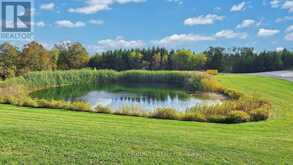 1065 20TH SIDE ROAD | Schomberg Ontario | Slide Image Nine