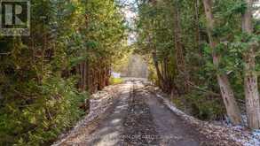 7590 19TH SIDE ROAD | Schomberg Ontario | Slide Image Fifty