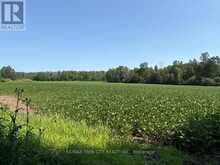 1194 CONCESSION 14 W CONCESSION | South Bruce Ontario | Slide Image Two