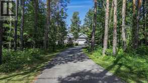8430 TOSORONTIO SIDEROAD 20 SIDE ROAD | Adjala-Tosorontio Ontario | Slide Image Forty-seven