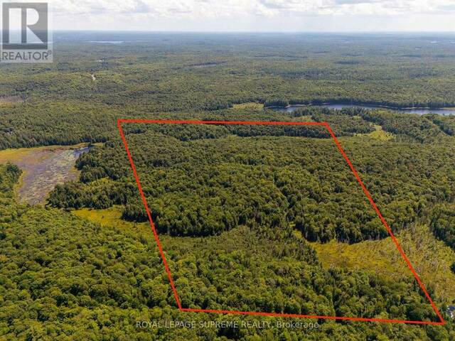 L13C6BR HUNTSVILLE Huntsville Ontario, P1H 2J3 - Vacant Land For Sale