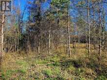 395421 CONCESSION 2 ROAD | Chatsworth Ontario | Slide Image Seven
