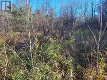 395421 CONCESSION 2 ROAD | Chatsworth Ontario | Slide Image Nine