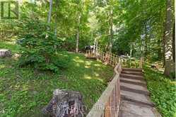25 FIRE RT. 296 | North Kawartha Ontario | Slide Image Thirty-four