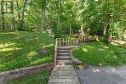25 FIRE RT. 296 | North Kawartha Ontario | Slide Image Thirty-three