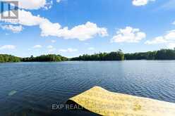25 FIRE RT. 296 | North Kawartha Ontario | Slide Image Forty