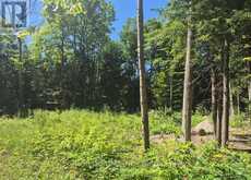 68 BEAUREMI ROAD | Tiny Ontario | Slide Image Nineteen