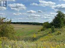 PT2 LT29 2ND LINE | Amaranth Ontario | Slide Image Twelve
