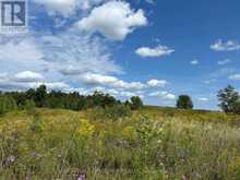PT2 LT29 2ND LINE | Amaranth Ontario | Slide Image Two