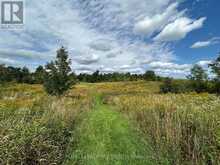 PT2 LT29 2ND LINE | Amaranth Ontario | Slide Image Three