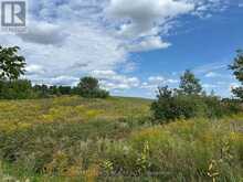 PT2 LT29 2ND LINE | Amaranth Ontario | Slide Image Eight
