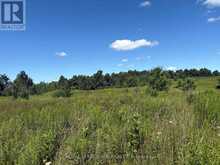 PT2 LT29 2ND LINE | Amaranth Ontario | Slide Image Ten