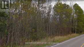 LOT 18 WEIR'S SIDE ROAD | Georgina Ontario | Slide Image Four