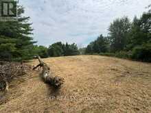 LOT 5 & 6 RP 18 NOONAN ROAD | Alnwick-Haldimand Ontario | Slide Image Ten