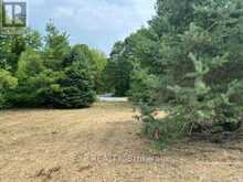 LOT 5 & 6 RP 18 NOONAN ROAD | Alnwick-Haldimand Ontario | Slide Image Eleven