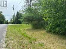 LOT 5 & 6 RP 18 NOONAN ROAD | Alnwick-Haldimand Ontario | Slide Image Thirteen