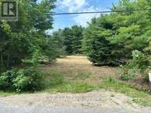 LOT 5 & 6 RP 18 NOONAN ROAD | Alnwick-Haldimand Ontario | Slide Image Three