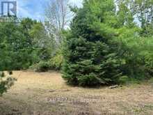 LOT 5 & 6 RP 18 NOONAN ROAD | Alnwick-Haldimand Ontario | Slide Image Four