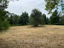 LOT 5 & 6 RP 18 NOONAN ROAD | Alnwick-Haldimand Ontario | Slide Image Five