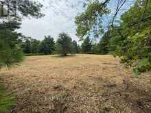 LOT 5 & 6 RP 18 NOONAN ROAD | Alnwick-Haldimand Ontario | Slide Image Six
