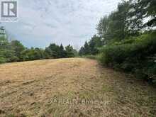 LOT 5 & 6 RP 18 NOONAN ROAD | Alnwick-Haldimand Ontario | Slide Image Eight