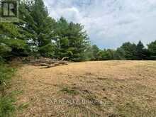 LOT 5 & 6 RP 18 NOONAN ROAD | Alnwick-Haldimand Ontario | Slide Image Nine