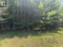 6081 HWY 89, CLIFFORD ROAD | Minto Ontario | Slide Image Four
