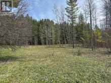 6081 HWY 89, CLIFFORD ROAD | Minto Ontario | Slide Image Three
