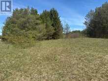 6081 HWY 89, CLIFFORD ROAD | Minto Ontario | Slide Image Five