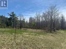 6081 HWY 89, CLIFFORD ROAD | Minto Ontario | Slide Image Seven