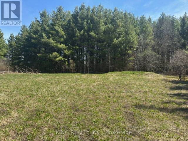 6081 HWY 89, CLIFFORD ROAD Minto Ontario, N0G 1M0 - Vacant Land For Sale