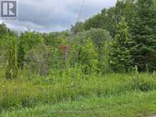 1017 LINE 8 NORTH LINE | Oro-Medonte Ontario | Slide Image Six
