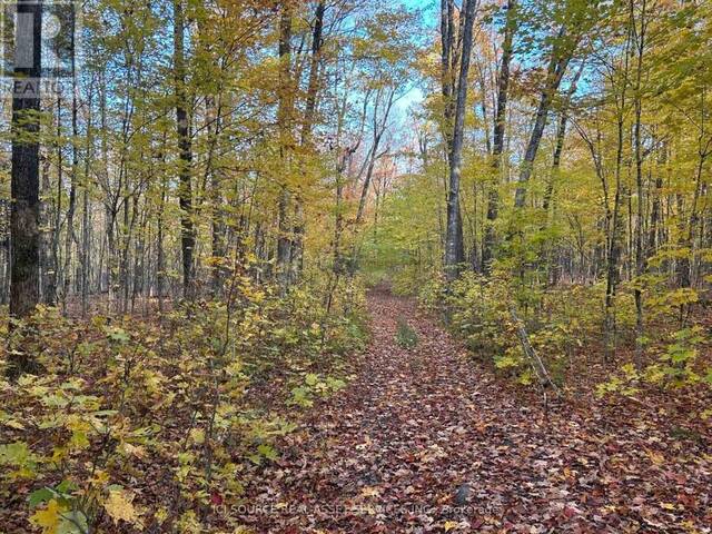 843 ROYSTON ROAD Magnetawan Ontario, P0A 1C0 - Vacant Land For Sale