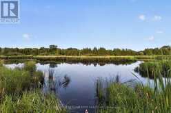 23233 MILES ROAD | Georgina Ontario | Slide Image Forty-six